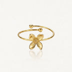 LINA-ring