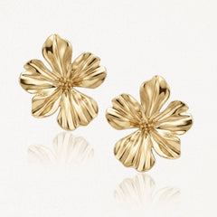 Boucles d'oreilles DENITSA