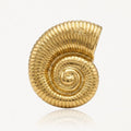 Anillo DORA