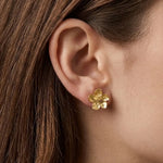 Puce d'oreille fleur de cerisier en acier inoxydable doré, portée sur un lobe d'oreille. Fleur avec aspect texturé.