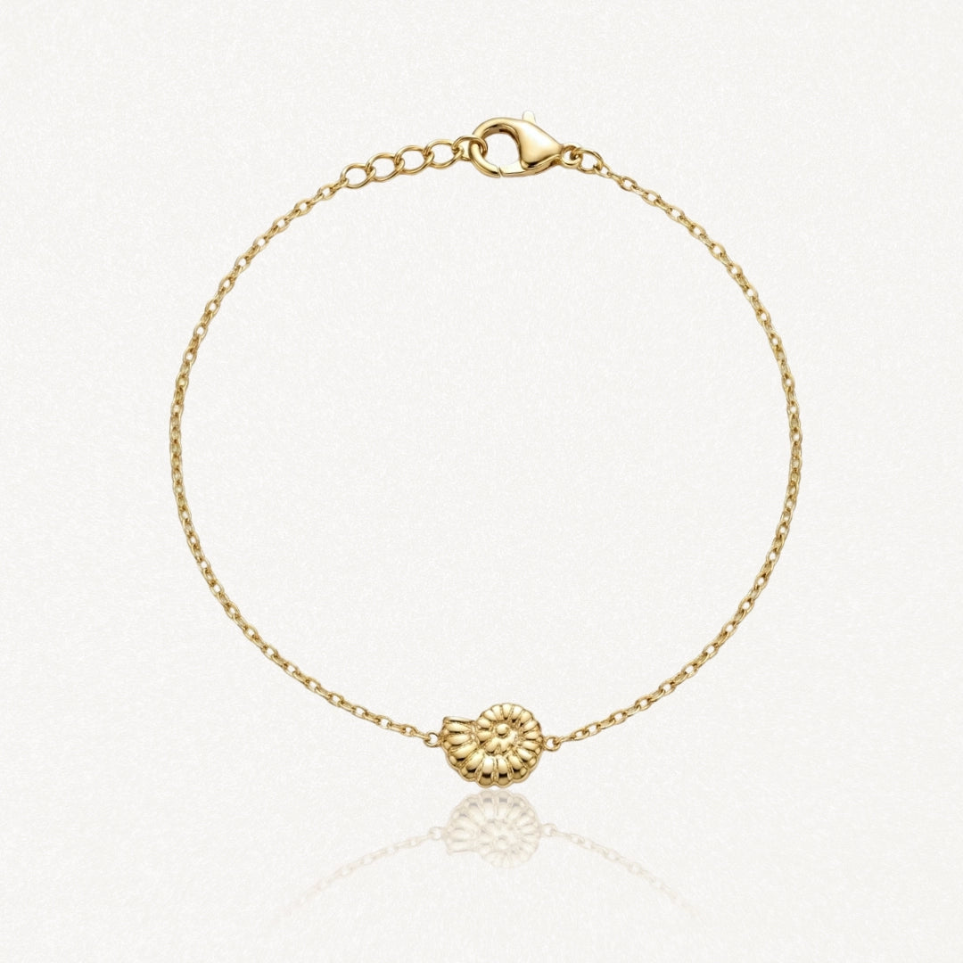 Bracelet doré à chaîne fine avec fermoir mousqueton et breloque coquillage spiralé au centre.