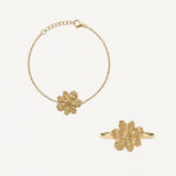 Coffret CLARISSE
