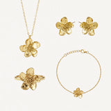 Coffret MARCELLA (3+1 OFFERT)