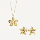 Coffret VICTORYA