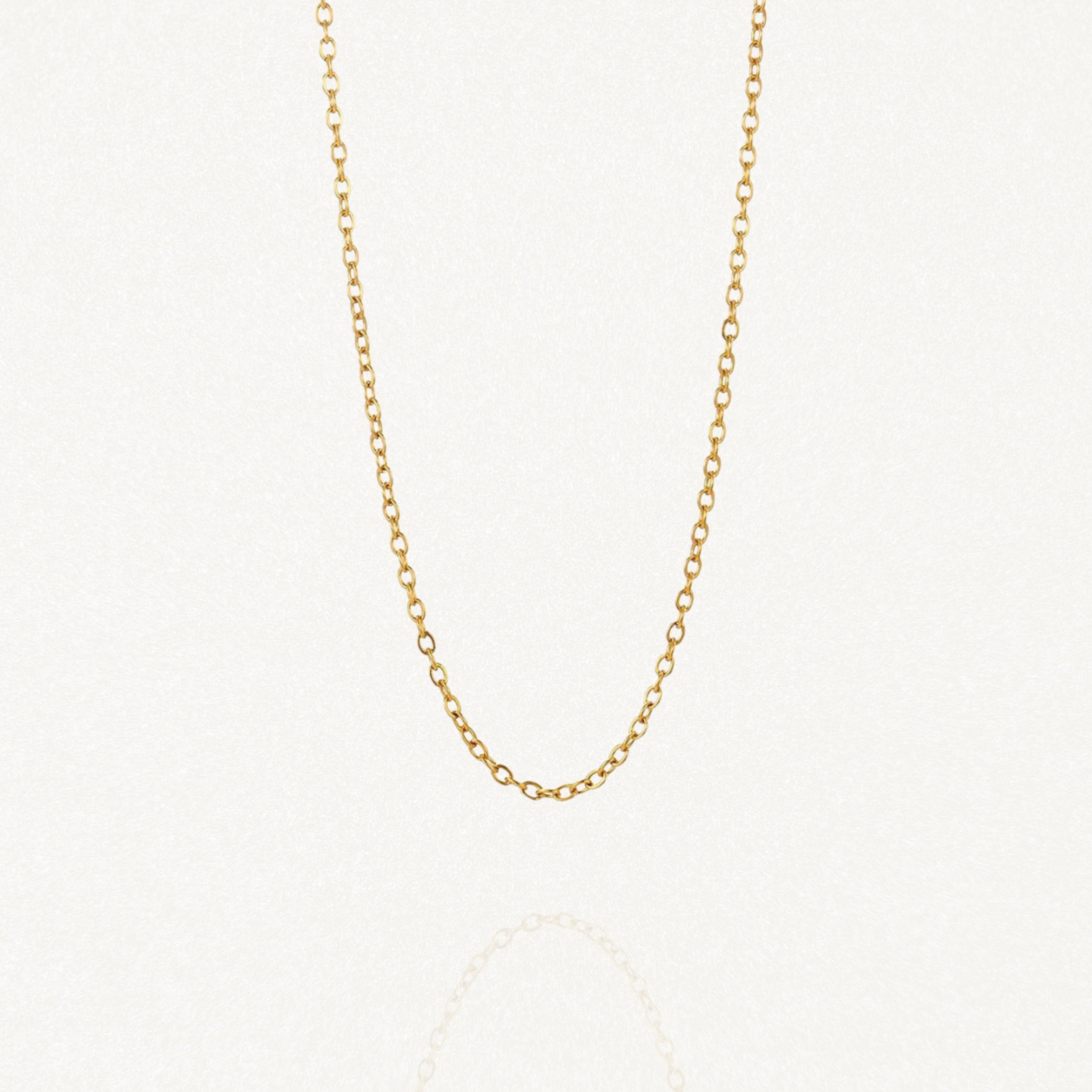 Chaîne fine dorée maille forçat MAISON DE L'AMOUR, un basique intemporel en acier inoxydable sur fond blanc.