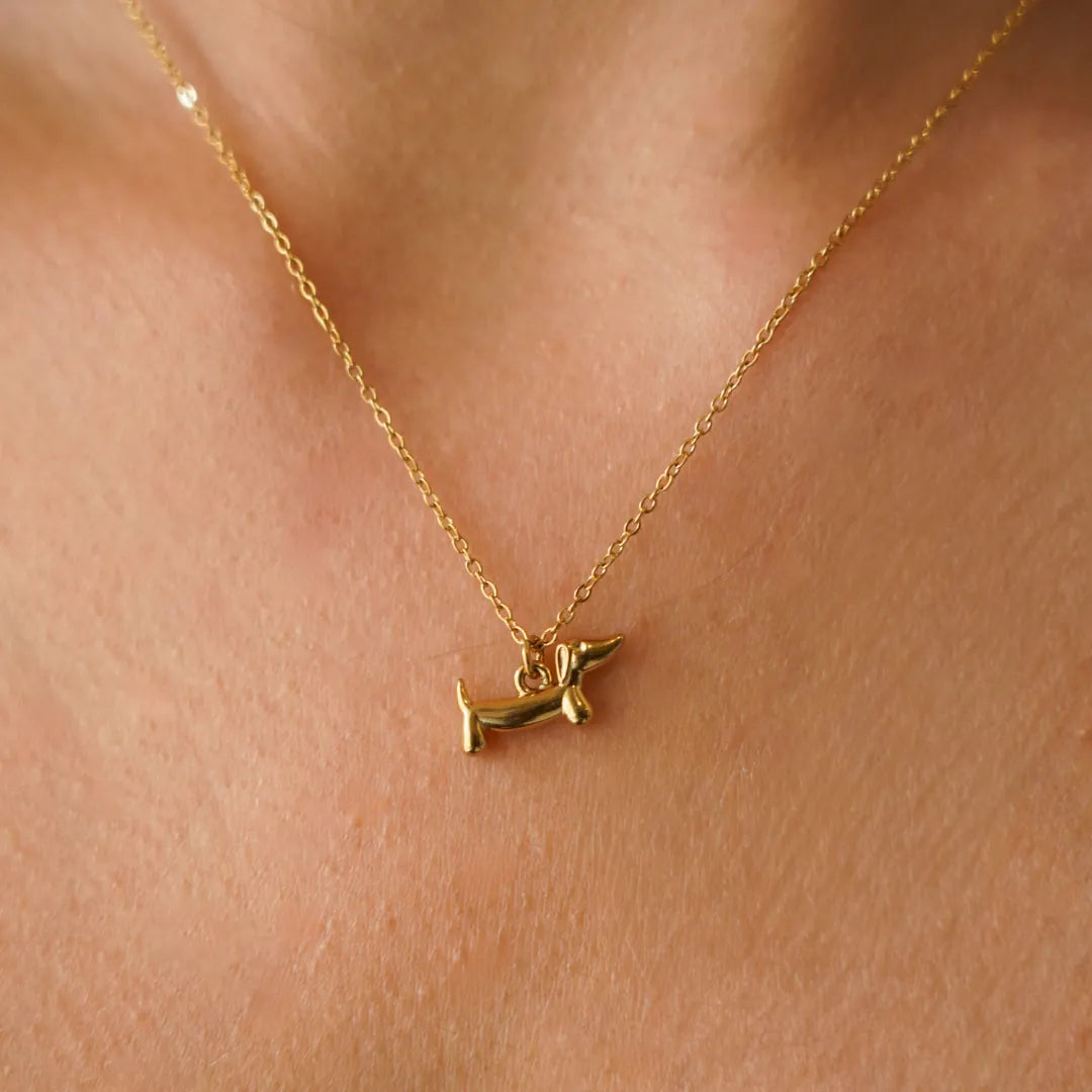 Collier avec pendentif teckel en acier inoxydable doré, porté autour du cou.