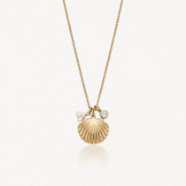 Collier en acier inoxydable doré, pendentif coquillage strié, deux petites perles et un cristal rond.